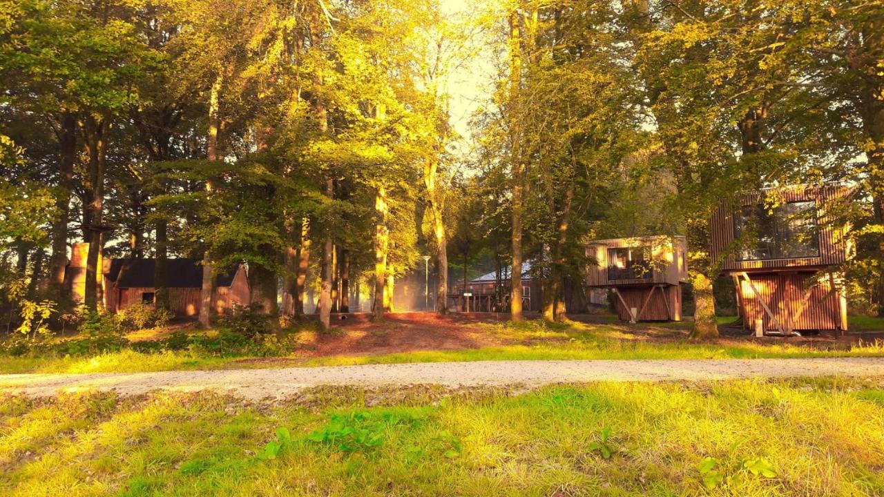 L'Etape En Foret Saint-Sever-Calvados エクステリア 写真